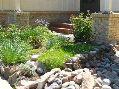 It doesn't look like any attention is being paid to this outstanding area; Xeriscape | 8z Real Estate | Xeriscape, Garden and yard, Outdoor