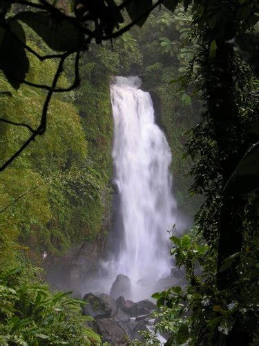 10 top rated tourist attractions in dominica planetware