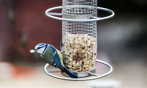 Large Peanut Bird Feeders For Busy Gardens Bird Barn