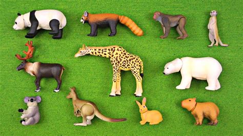 The cards come in 3 packs designed to offer maximum flexibility for esl students. Learning Animal Names & Fun Facts #2 - Wild Animals for ...