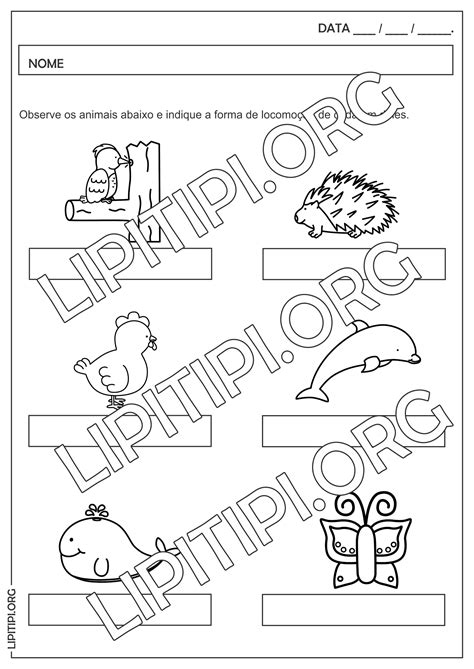 Lipitipi Atividades E Projetos Fundamental I Ficha De Leitura Texto