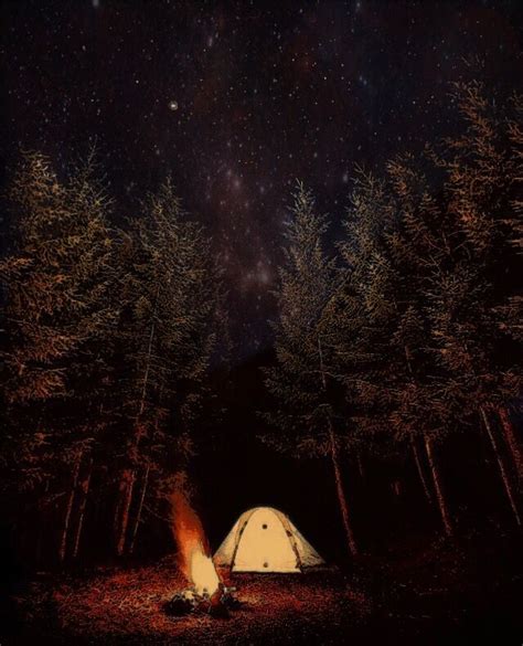 Tent Camping Trees Forest Stars Fire Campfire Gouache Cool