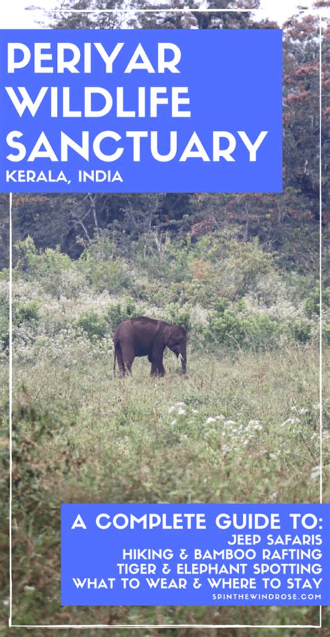 Periyar Wildlife Sanctuary Elephant Spotting In Kerala India Spin