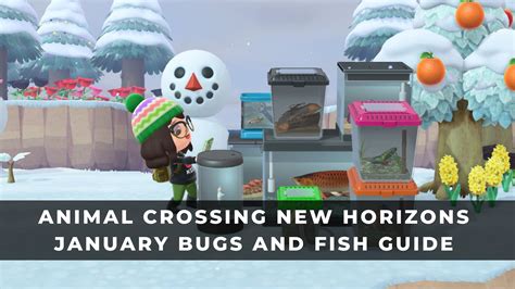 Animal Crossing New Horizons January Bugs And Fish Guide Keengamer