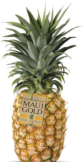 Shop for Maui Gold® Pineapple - The extra sweet pineapple from Maui, Hawaii | Pineapple, Gold ...