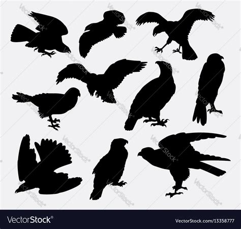 Falcon Eagle And Hawk Bird Silhouette Royalty Free Vector
