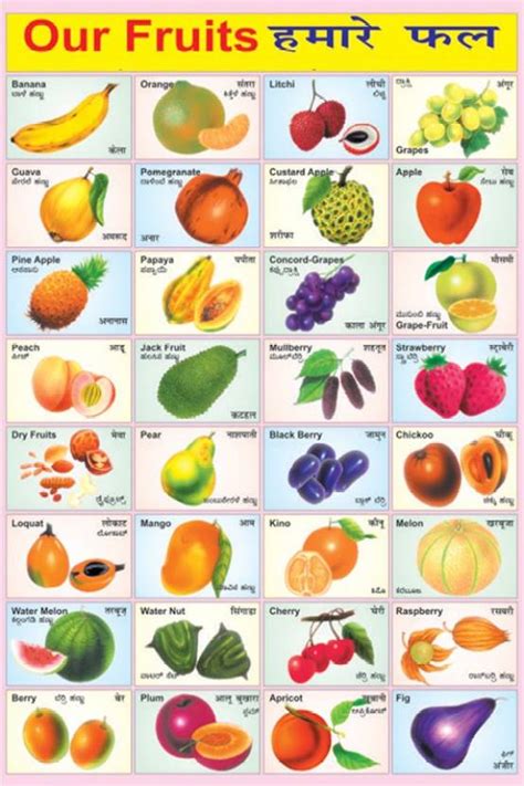 Poster Fruits Name Poster Educational Poster Colorful Learning