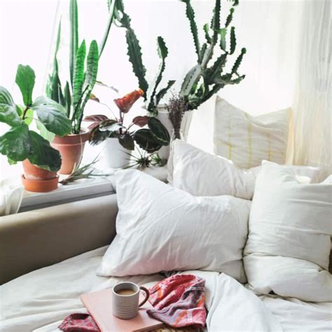 Learn feng shui basics and how to incorporate feng shui into your bedroom. The One Room Where You Shouldn't Keep Tons Of Plants ...