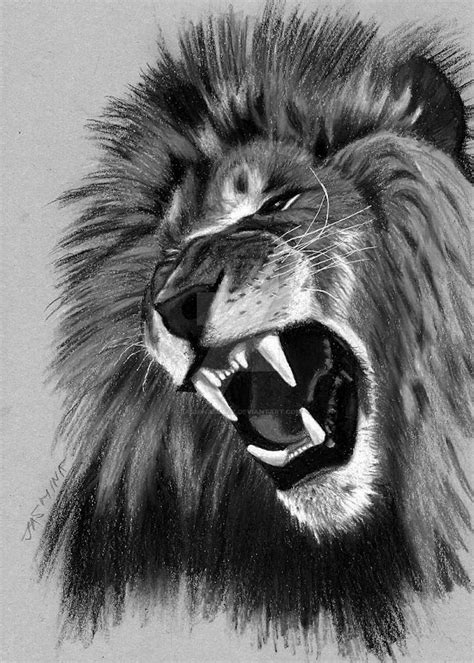 736x736 animals art drawings lion tattoo lion drawings lion drawing tattoo. Tribute Drawing to Cecil The Lion by JasminaSusak on DeviantArt