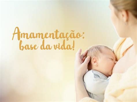 Semana Do Aleitamento Materno Termina Sexta Feira 3 Em Embu Das Artes