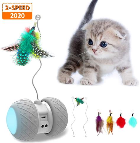 Best Electronic Cat Toys 2020