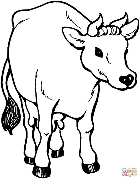 Cow 26 Coloring Page Free Printable Coloring Pages