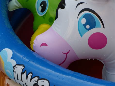 Harga ban renang matras balon untuk tiduran di pantai/ kolam renang. Gambar : air, Vinil, plastik, balon, musim panas, berenang ...