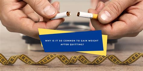 how to prevent gaining weight after giving up smoking onehealth sg singapore s premier