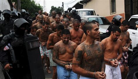 Arrestos De Miembros De Mara Salvatrucha Ms 13 Y Secuaces Aumentan El