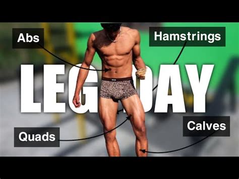 My Leg Workout Explained Quads Hamstrings Calves Abs Push Pull