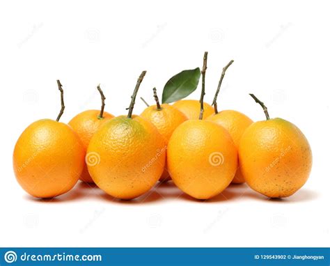 Pair Of Fresh Oranges With A Few Leaves Stock Photo Image Of Color