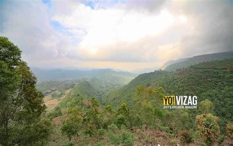 Araku Valley Visakhapatnam 5 Amazing Things In The Scenic Hill Station