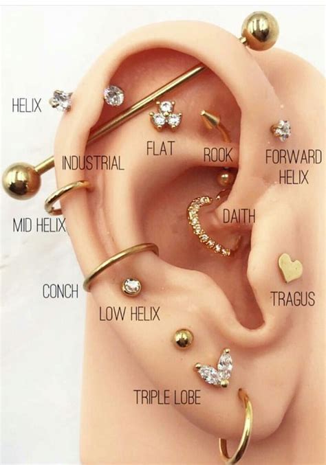 Jewelry Trend Alert The 411 On Multiple Ear Piercings ~ Nile Corp Blog