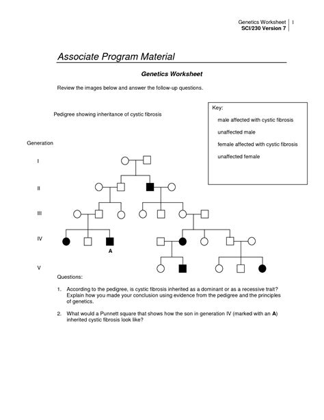 Genetics pedigree worksheet answer key | semesprit pedigree charts display info in a hierarchy and are frequently used to show relationships, including in genealogy trees and organization charts. 14 Best Images of Pedigree Worksheet With Answer Key ...