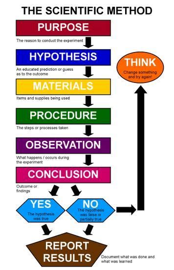 32 Best Images About Scientific Method On Pinterest Student Graphic