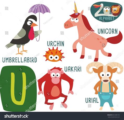 Animals That Start With The Letter U Inspec Wallp Animals