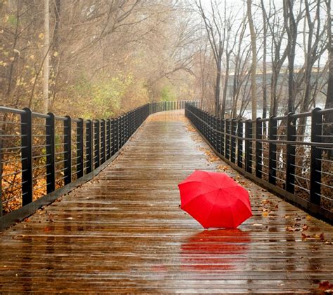 rainy season wallpaper hd here is a collection of 30 beautiful rain wallpapers which can be