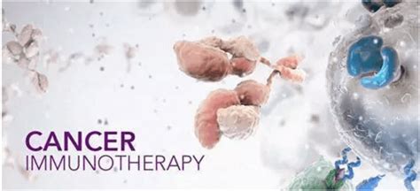 Things To Know About Cancer Immunotherapy A Listly List