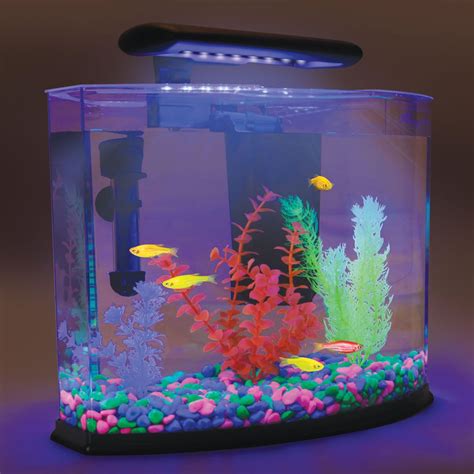 Aquarium That Uses Blue Light And Specialty Plants And Gravel To