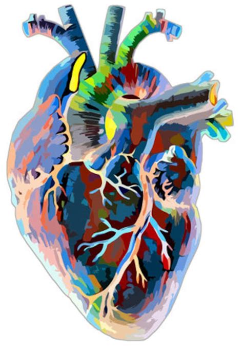 Colorful Abstract Heart Human Anatomy Digital Download Png  Etsy