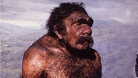 Neanderthal Survival Story Revealed In Jersey Caves Bbc News