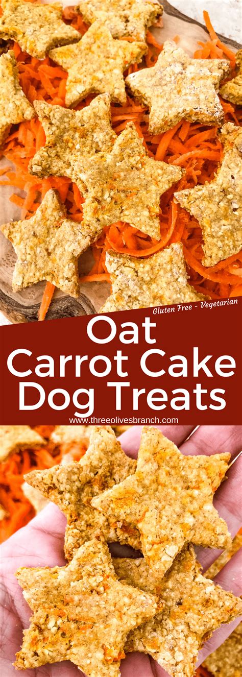 Oat Carrot Cake Dog Treats Three Olives Branch Oat Carrot Cake