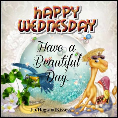 Happy Wednesday Hope You Have A Beautiful Day Happy Wednesday Funny