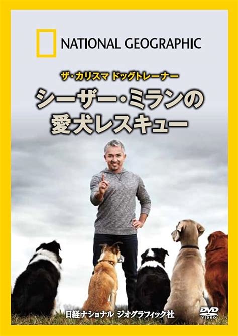 Jp ナショナル ジオグラフィック ザ・カリスマ ドッグトレーナー シーザー・ミランの愛犬レスキュー Dvd Dvd・ブルーレイ