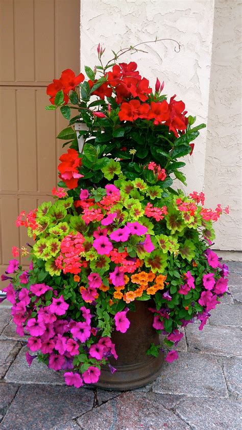 Incredible Front Porch Flower Design Incredible Front