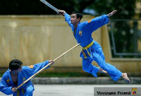 Vovinam Friend Viet Vo Dao Art Of Fighting Tai Chi Jiu Jitsu Art