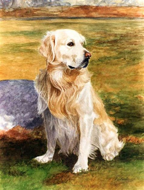 Pin By Phyllis Tarlow On Animales In 2021 Golden Retriever Watercolor