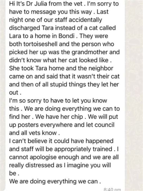Missing Bondi Vet Cat Tara Found Alive After One Month Au