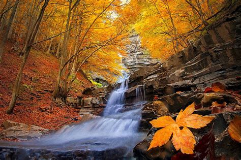 Autumn Waterfall Leaves Autumn Cascades Waterfall Bonito Forest