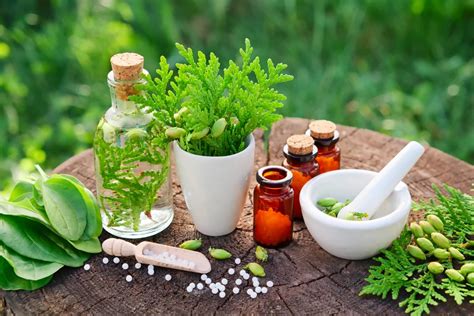 Homeopathy Natural And Holistic Homeopath In Georgetown Natural