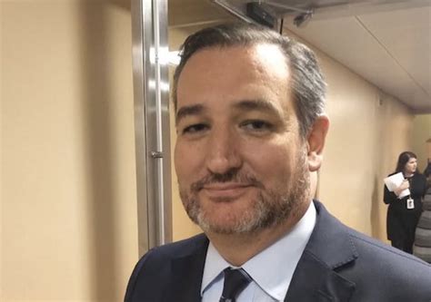 chelsea handler on twitter just a reminder that ted cruz with facial hair is still ted cruz