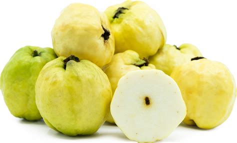 Seedless Guavas Information And Facts