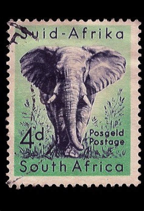 South Africa Circa 1954 A Stamp Printed In South Africa Shows African