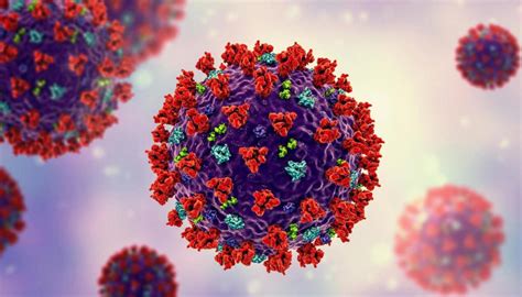 Coronavirus Slow Evolution Of The Covid 19 Virus Show Its Honing The