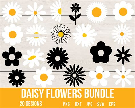 Daisy Svg Wildflower Svg Flower Clipart Daisy Png Daisy Etsy