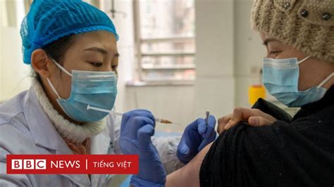 Covid 19 Trung Quốc Phê Chuẩn Vaccine Sinopharm để Tiêm Chủng đại Trà
