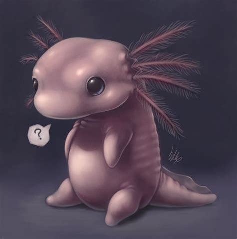 Axolotl Drawing Easy Axolotls By Sofmer On DeviantART Sketch Book