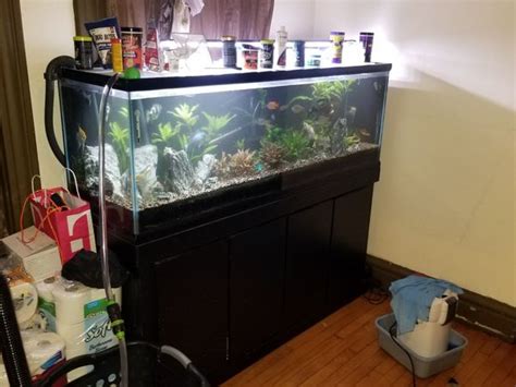 110 Gallon Fish Tank And Stand And Fluval Fx5 Filter Good Condition Im