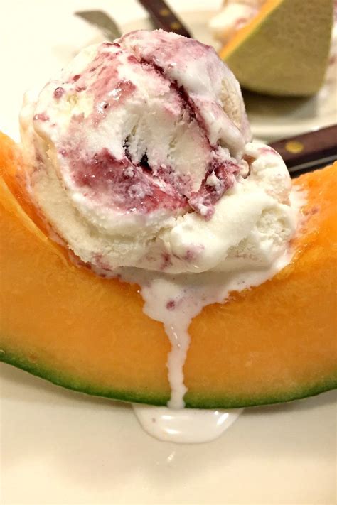 Cantaloupe Ice Cream Dessert