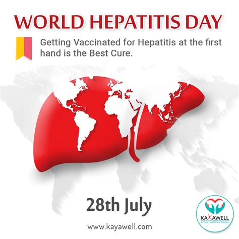 World Hepatitis Day When Worlds Celebrate Kayawell